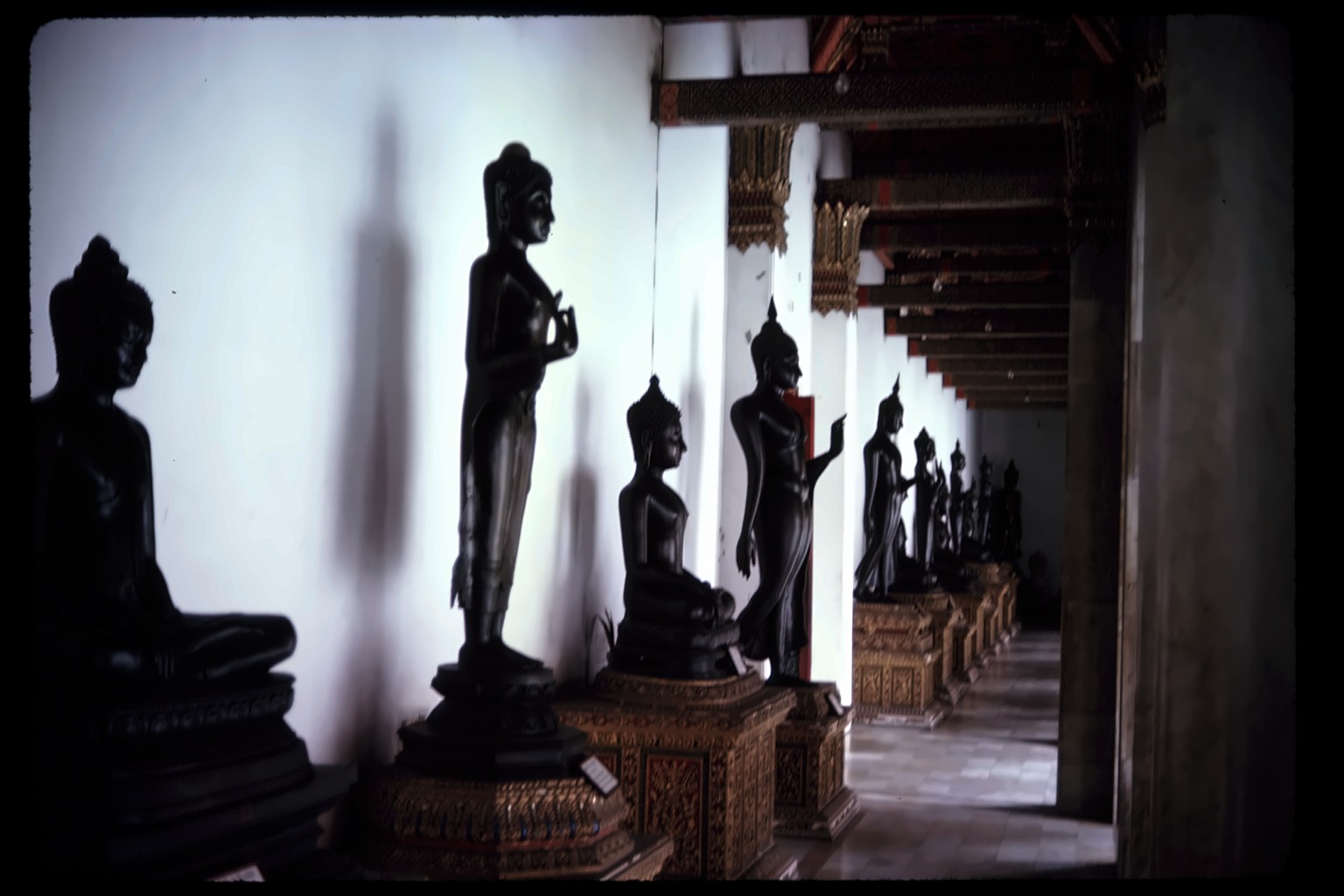 Buddha gallery