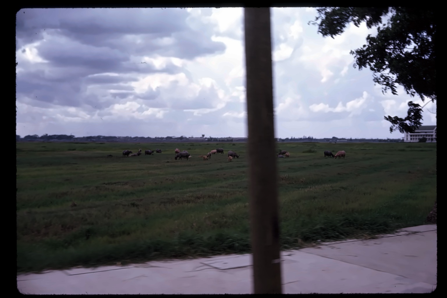 Field, closing shot
