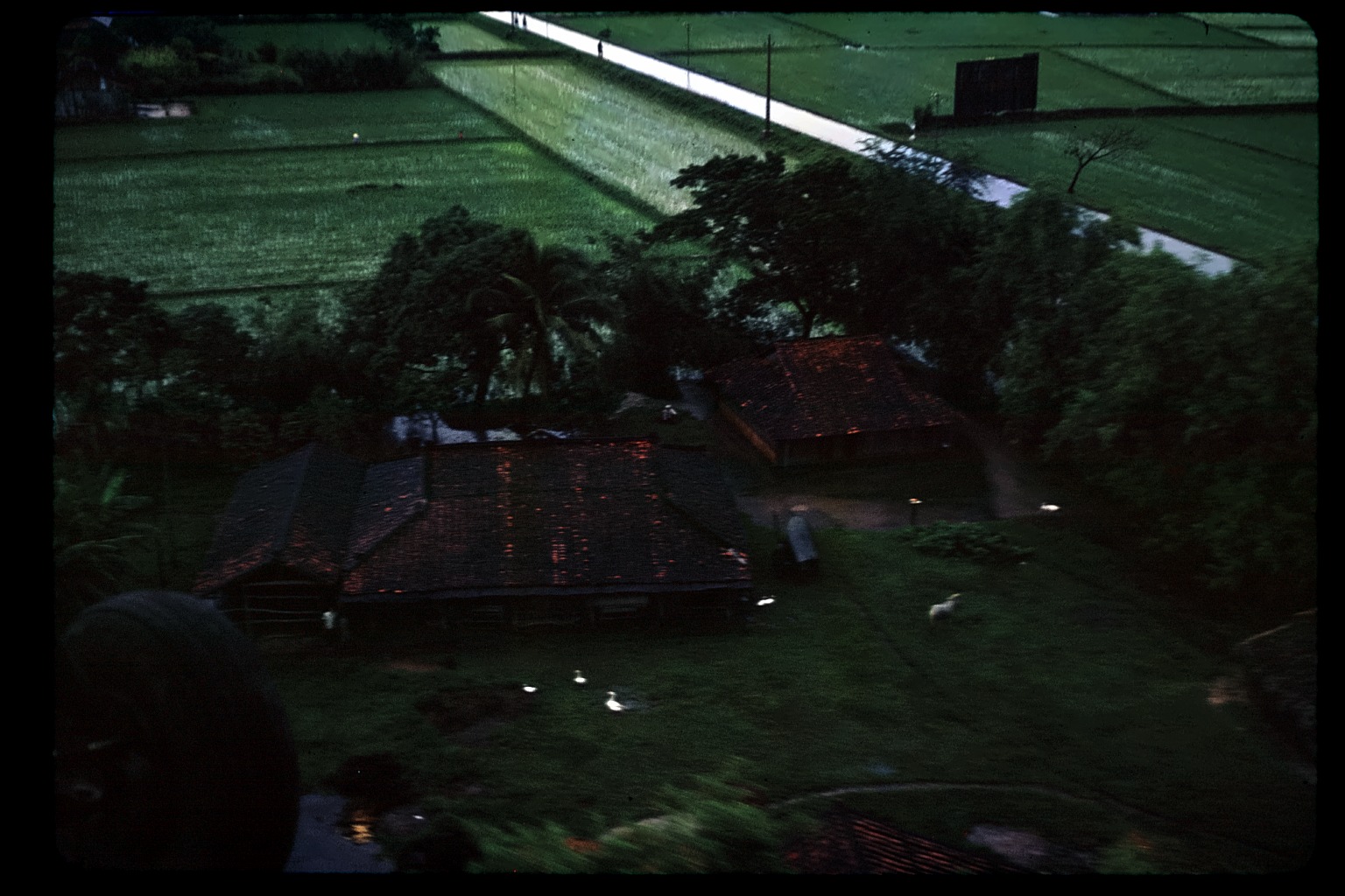 Shack off PSP, geese