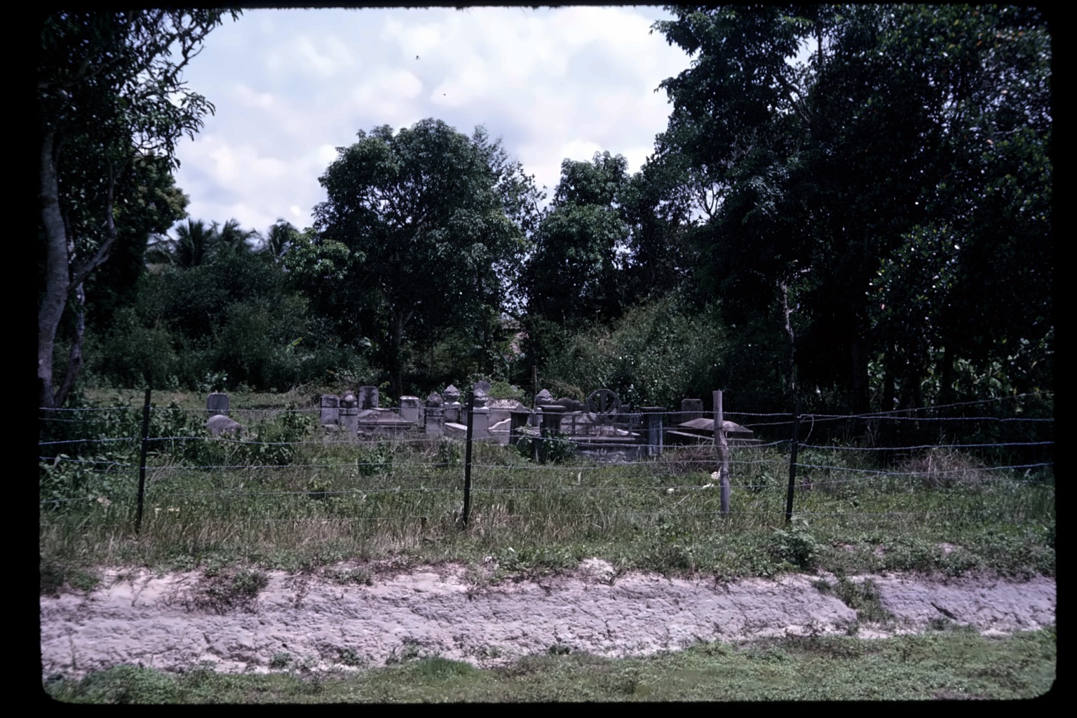 Cemetery, captioned Losers