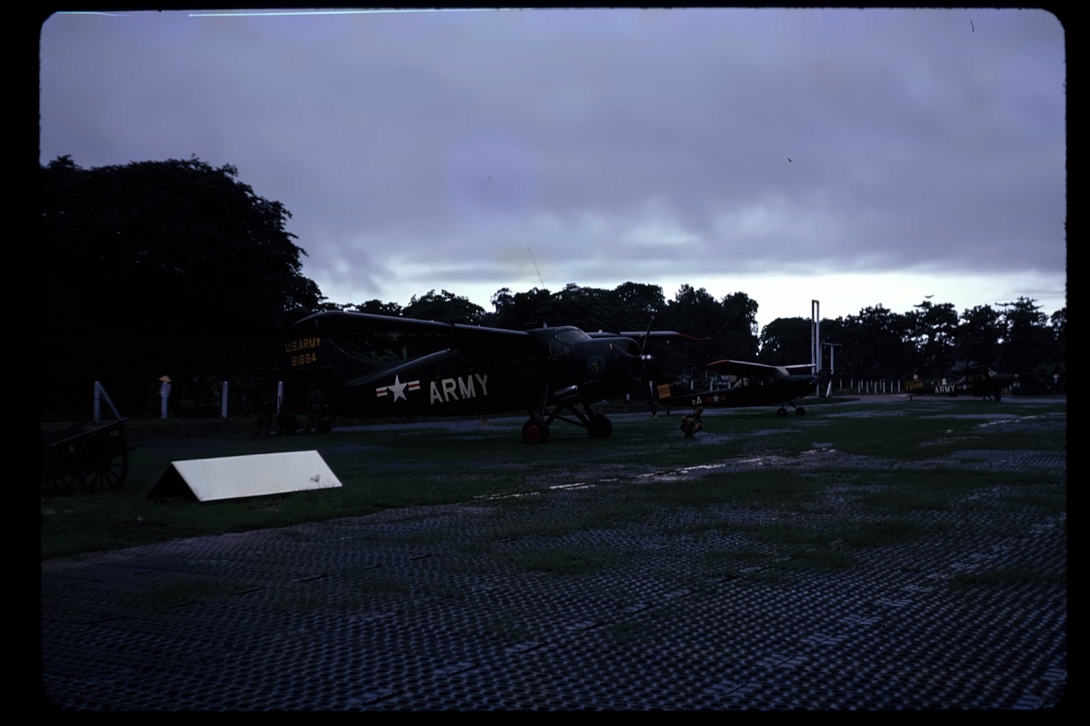 Otter and two L-19s